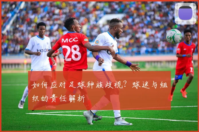 如何应对足球种族歧视？球迷与组织的责任解析